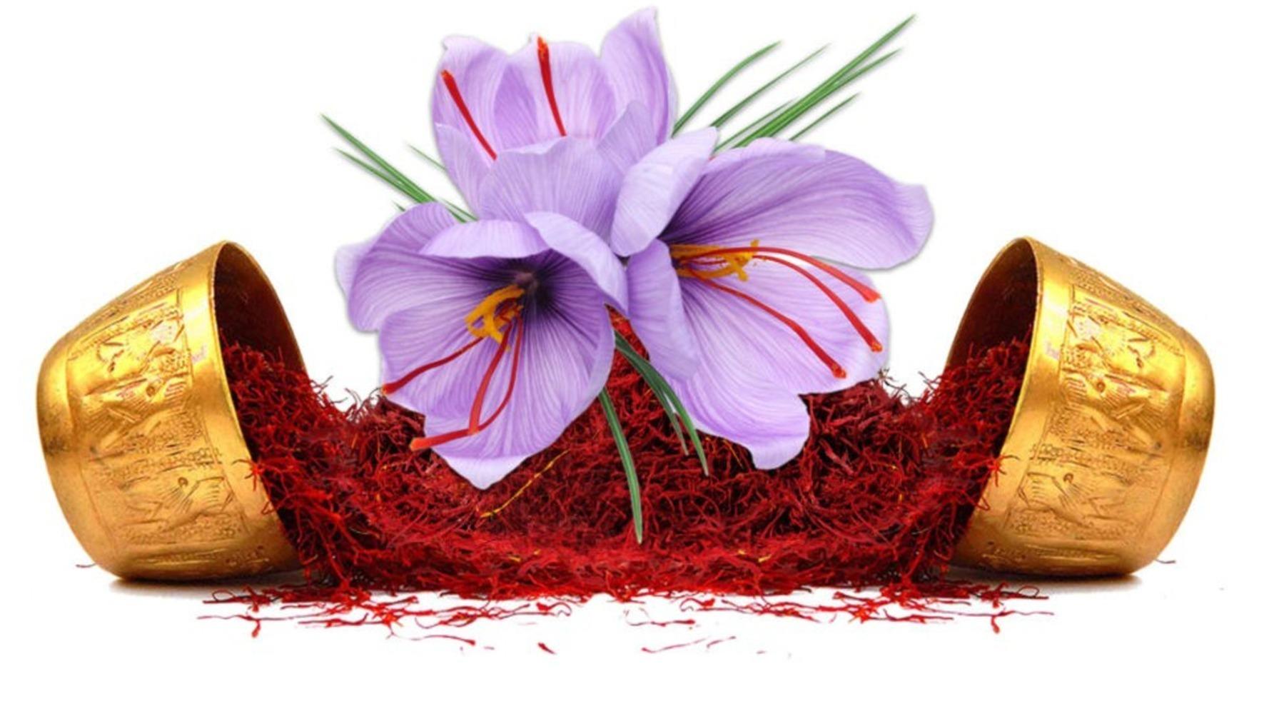 Main Banner Image 1
